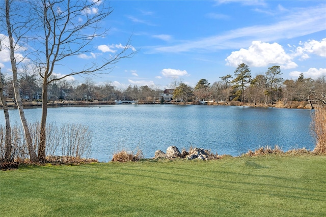 324 Plymouth Ave, Brightwaters, NY 11718 - photo 31
