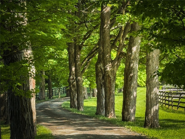 33 Scott Rd, Hudson, NY 12534 - view of community featuring driveway