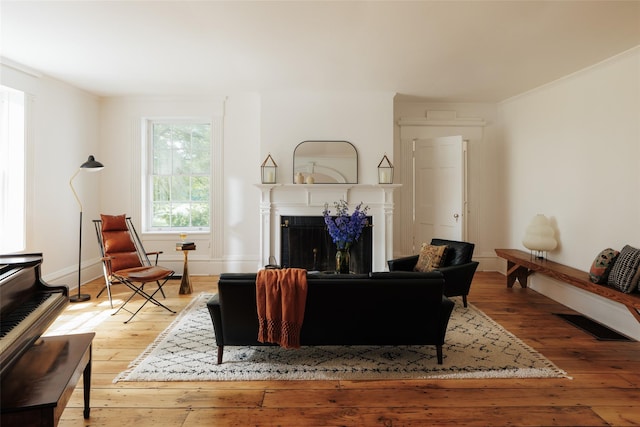 33 Scott Rd, Hudson, NY 12534 - living room with light wood-style floors and a fireplace