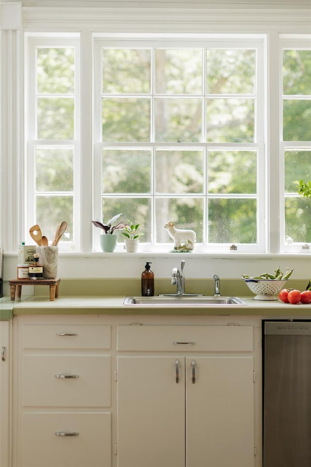 33 Scott Rd, Hudson, NY 12534 - kitchen with stainless steel dishwasher, light countertops, and healthy amount of natural light