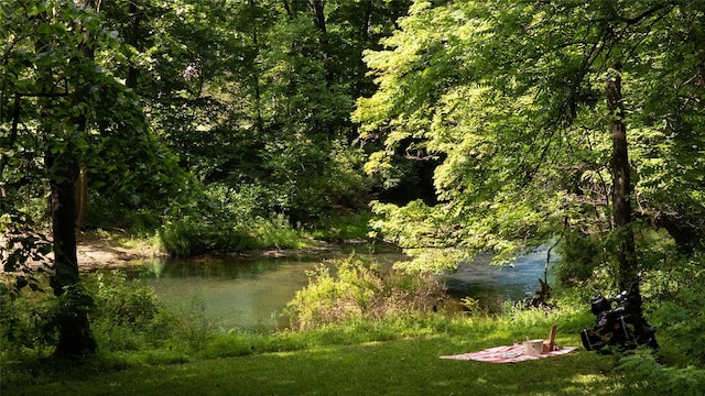 33 Scott Rd, Hudson, NY 12534 - water view featuring a heavily wooded area