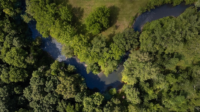 33 Scott Rd, Hudson, NY 12534 - view of property location featuring a heavily wooded area