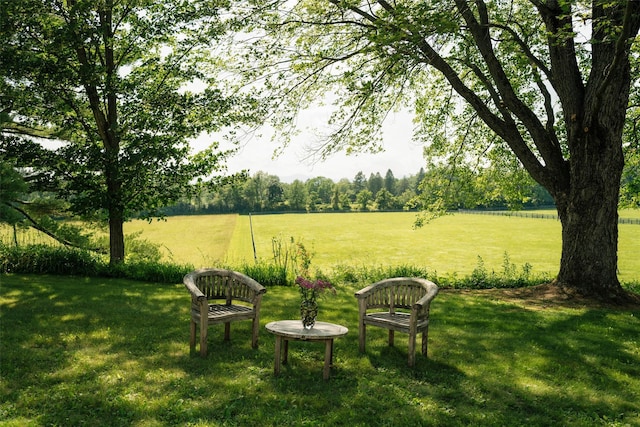 33 Scott Rd, Hudson, NY 12534 - view of green lawn