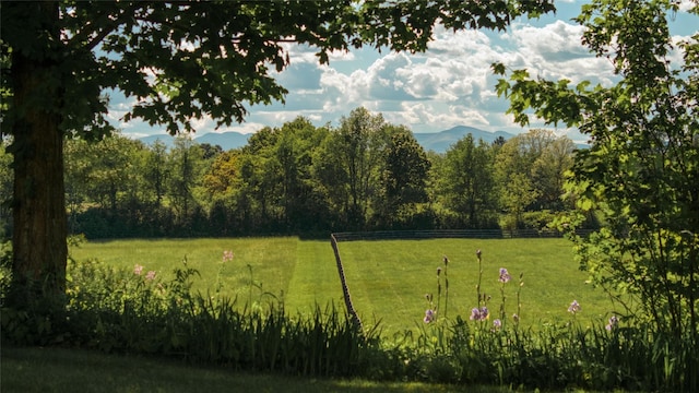 33 Scott Rd, Hudson, NY 12534 - view of green lawn with a wooded view