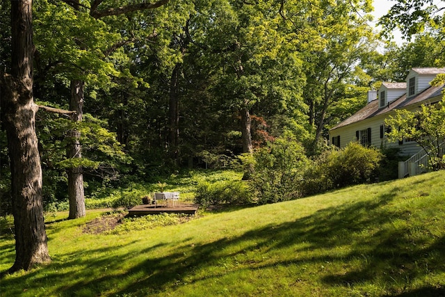 33 Scott Rd, Hudson, NY 12534 - view of green lawn with a deck