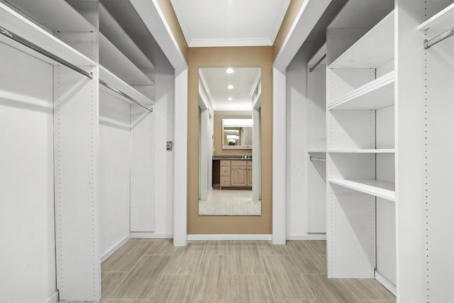 206 Heritage Unit A, Somers, NY 10589 - view of walk in closet
