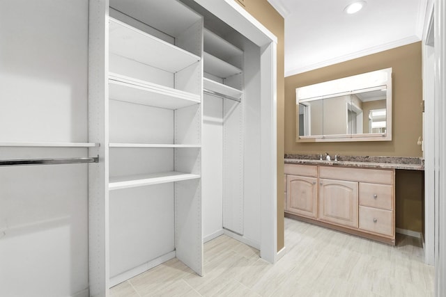 206 Heritage Unit A, Somers, NY 10589 - view of walk in closet
