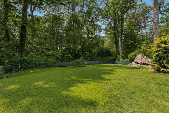 82 Wood Hollow Ln, New Rochelle, NY 10804 - view of yard