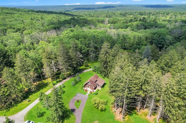75 Hartung Rd, Eldred, NY 12743 - view of subject property featuring a forest