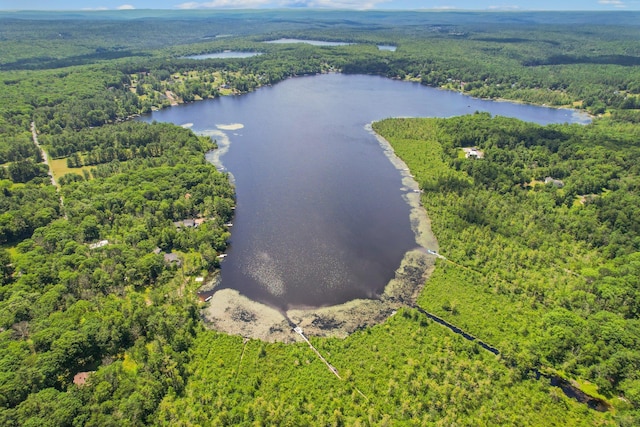 75 Hartung Rd, Eldred, NY 12743 - aerial view of a nearby body of water