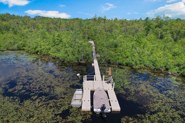 75 Hartung Rd, Eldred, NY 12743 - bird's eye view of a forest and a nearby body of water