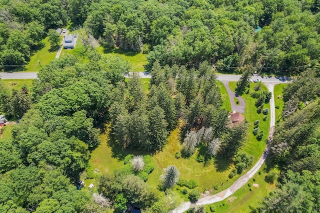 75 Hartung Rd, Eldred, NY 12743 - bird's eye view of a forest