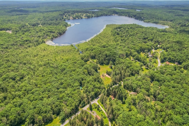 75 Hartung Rd, Eldred, NY 12743 - drone / aerial view of a forest and a large body of water