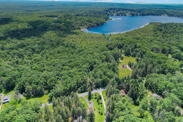 75 Hartung Rd, Eldred, NY 12743 - view of property location featuring a heavily wooded area and a nearby body of water