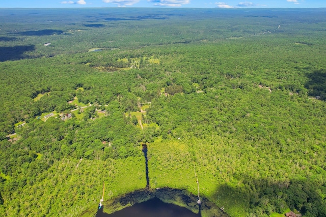 75 Hartung Rd, Eldred, NY 12743 - aerial view of a forest