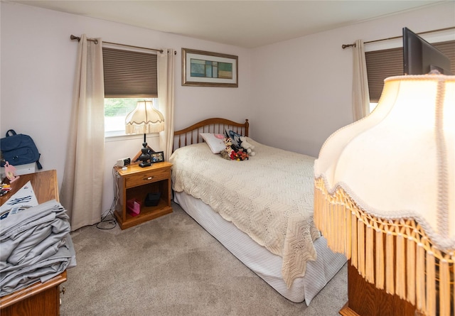 2 Flamingo Dr, Poughkeepsie, NY 12601 - photo 19