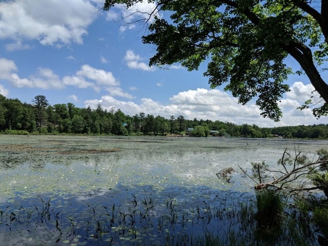 LOT9.1 Elle Dr, Glen Spey, NY 12737 - photo 1