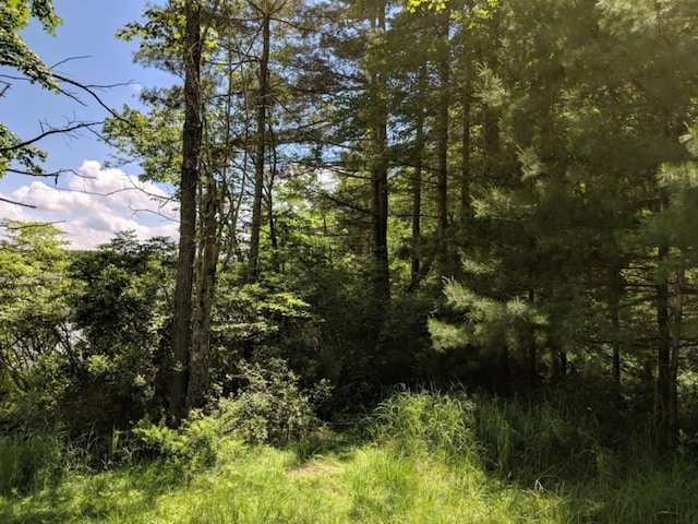 LOT9.1 Elle Dr, Glen Spey, NY 12737 - photo 3