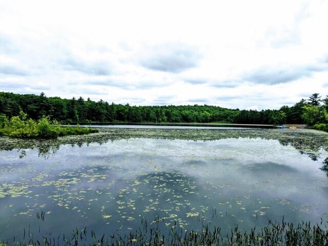LOT9.1 Elle Dr, Glen Spey, NY 12737 - photo 4