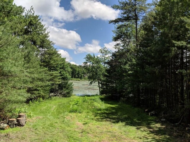 LOT9.1 Elle Dr, Glen Spey, NY 12737 - photo 5