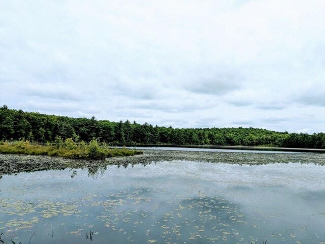 LOT9.1 Elle Dr, Glen Spey, NY 12737 - photo 8