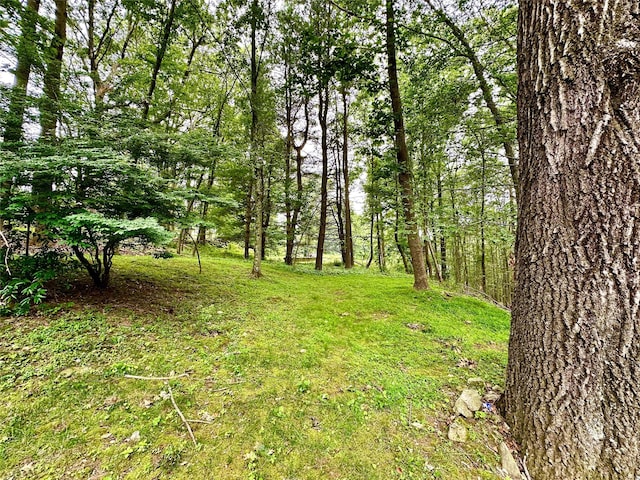 390 Heritage Hls Unit A, Somers, NY 10589 - photo 23