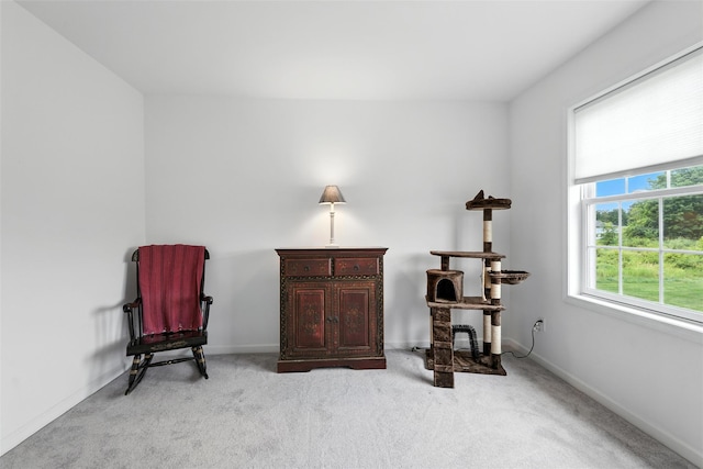 12 Brewster Ct, Washingtonville, NY 10992 - photo 23