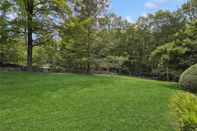 1432 Whitehill Rd, Yorktown Heights, NY 10598 - photo 45