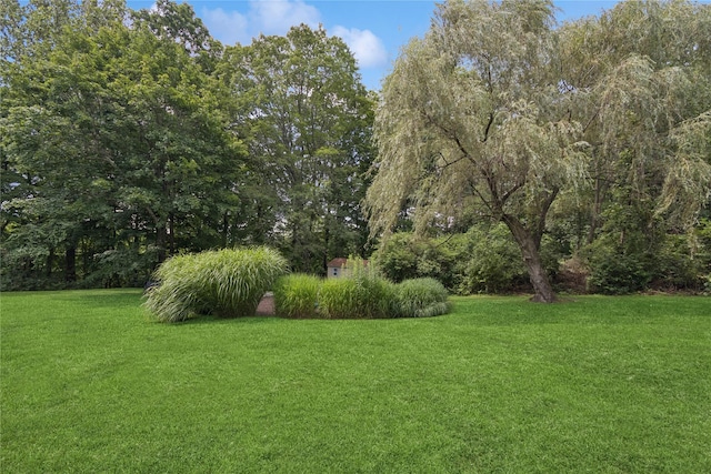 1432 Whitehill Rd, Yorktown Heights, NY 10598 - photo 46