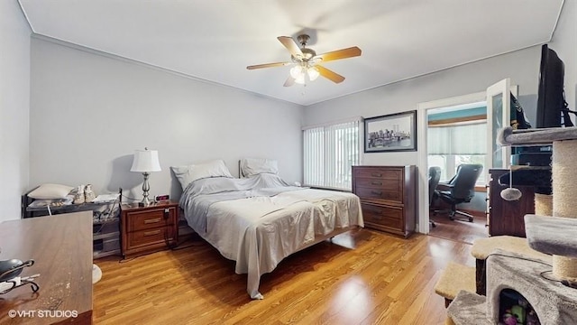 77-52 76th St, Glendale, NY 11385 - photo 10