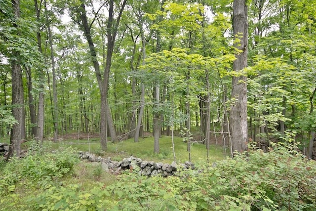 107 Lane Gate Rd, Cold Spring, NY 10516 - photo 37