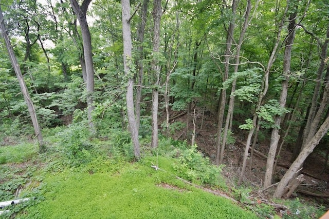 107 Lane Gate Rd, Cold Spring, NY 10516 - photo 23