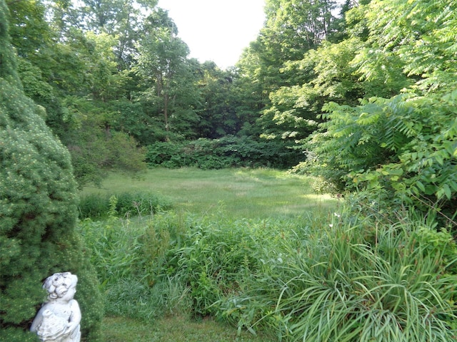 70 N Rd, Bloomingburg, NY 12721 - photo 6