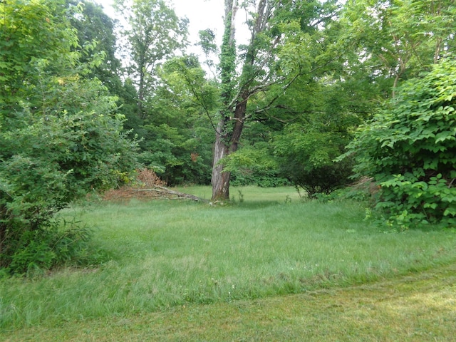 70 N Rd, Bloomingburg, NY 12721 - photo 7