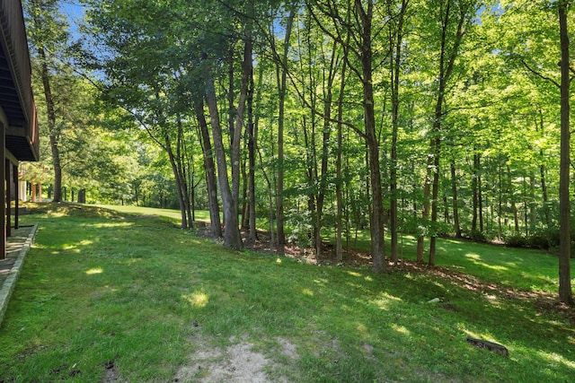 25 Wells Ln, Mount Kisco, NY 10549 - photo 5