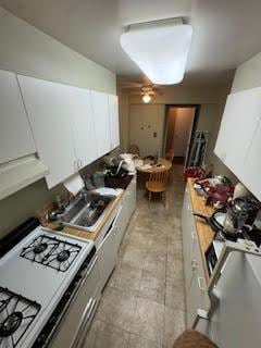 221McDonaldAve Avenue 1G, Brooklyn, NY 11218 - photo 12