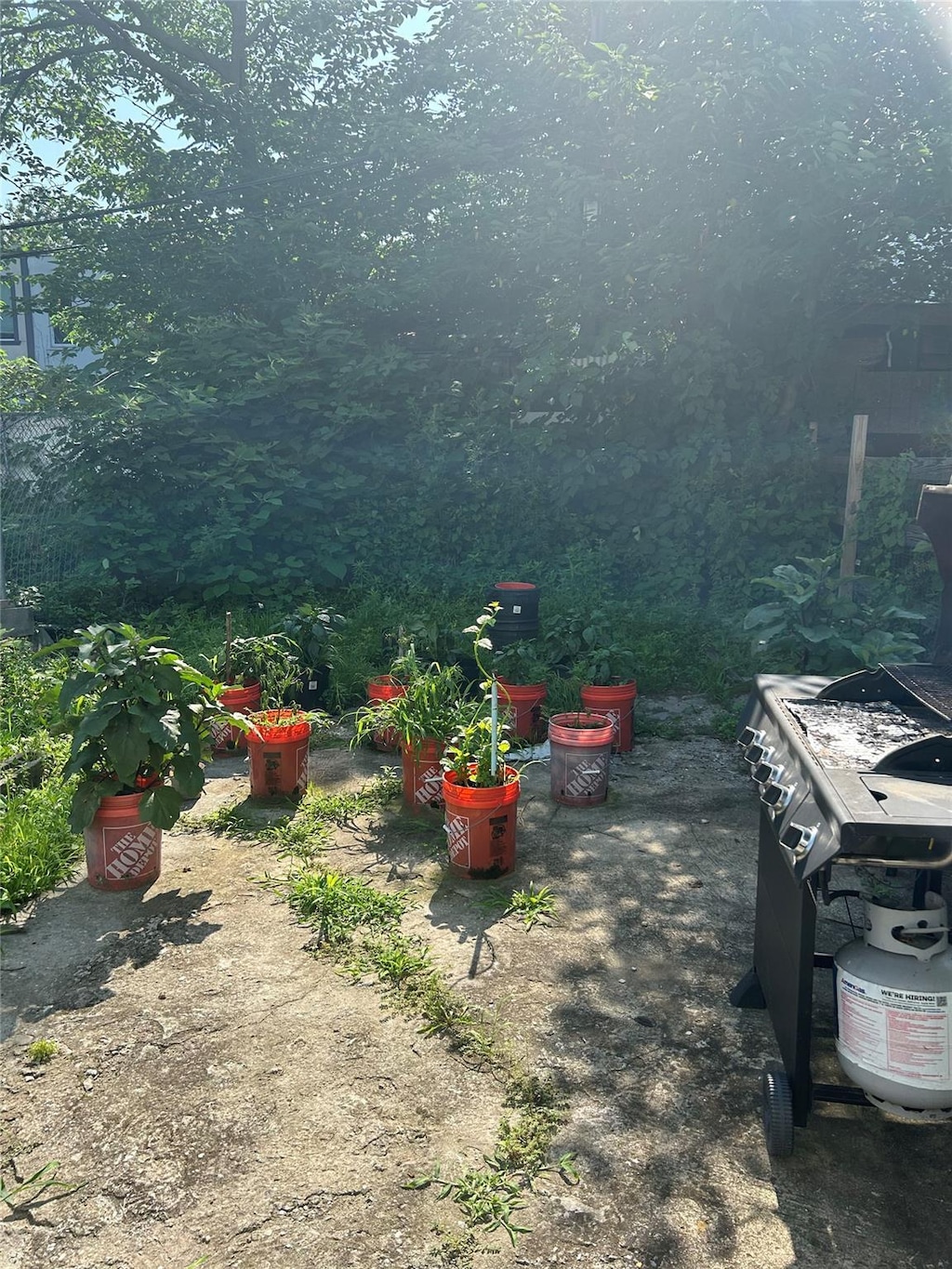406 Chestnut St, Brooklyn, NY 11208 - view of yard