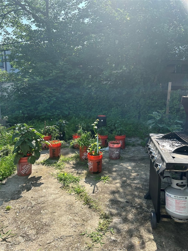 406 Chestnut St, Brooklyn, NY 11208 - view of yard