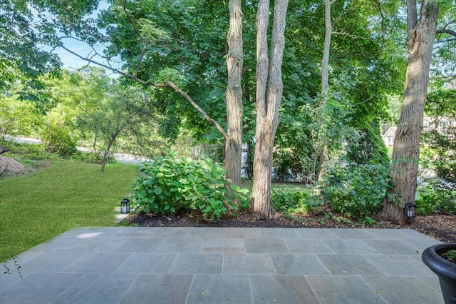 19 Bonnie Way, Larchmont, NY 10538 - photo 34