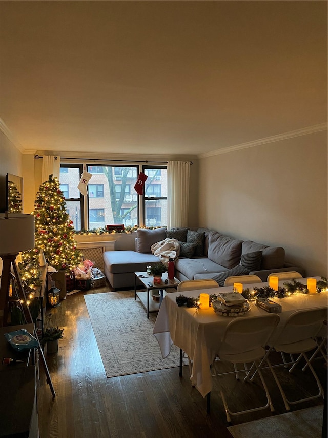 1 Birchwood Ct Unit 3H, Mineola, NY 11501 - living room featuring dark wood-style flooring and crown molding