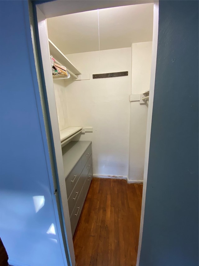 1 Birchwood Ct Unit 3H, Mineola, NY 11501 - spacious closet with dark wood-type flooring