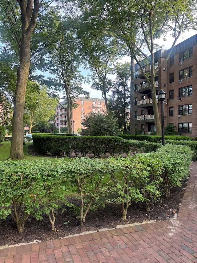 6 Birchwood Ct Unit 3H, Mineola, NY 11501 - photo 2