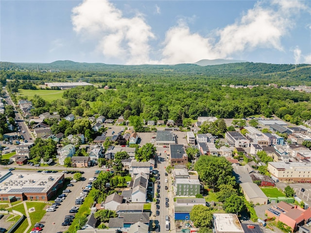 24 8th St, Hudson, NY 12534 - drone / aerial view of a forest and a mountain backdrop