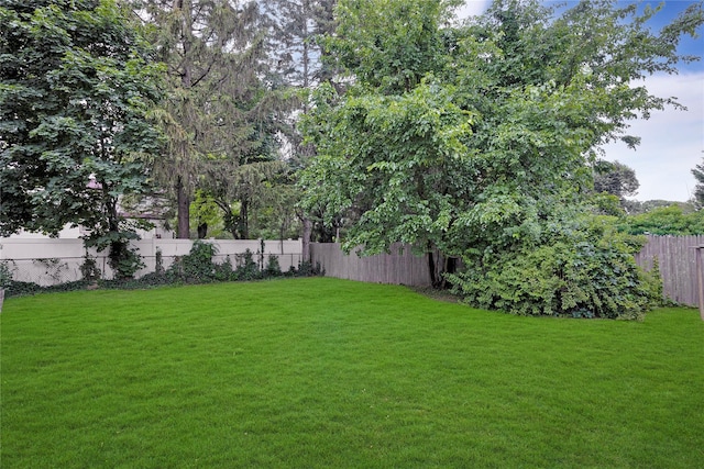 181 Walnut St, Lynbrook, NY 11563 - view of yard