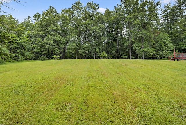 97 Queens Hwy, Kerhonkson, NY 12446 - photo 28