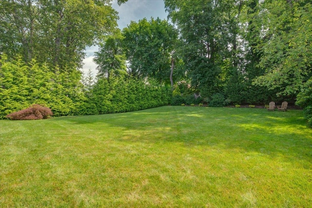 33 Temple St, Harrison, NY 10528 - photo 27