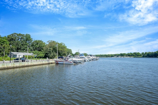 9 Ocean Ave, Mastic, NY 11950 - photo 26