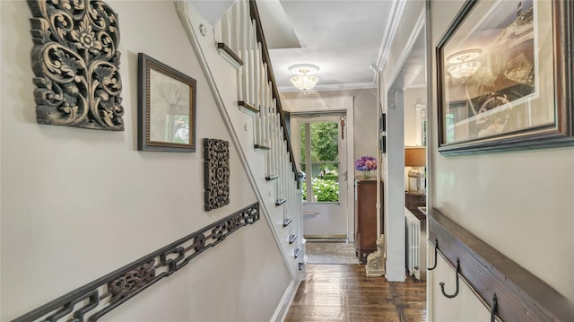16 Clement St, Glen Cove, NY 11542 - doorway to outside with dark wood-style floors and ornamental molding