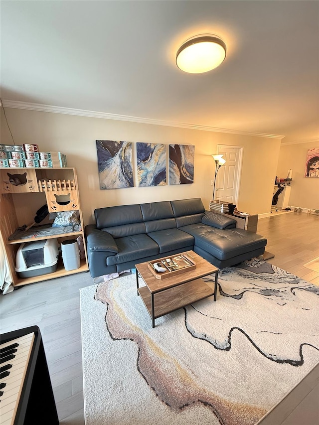 2 Bay Club Dr Unit 11T, Bayside, NY 11360 - living area with crown molding and wood finished floors
