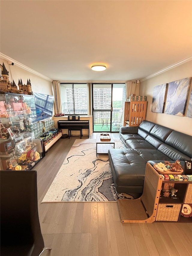2 Bay Club Dr Unit 11T, Bayside, NY 11360 - living room with crown molding and wood-type flooring